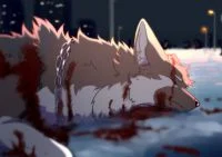 再见 by 小狼KillerWolf