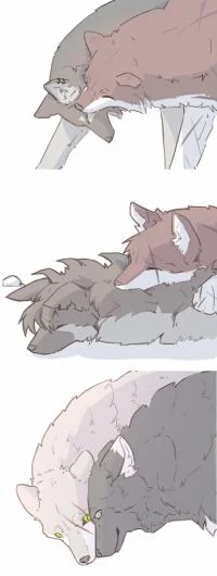 七夕摸鱼 by 小狼KillerWolf