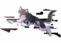 残月20200927 by 小狼KillerWolf