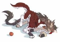 吃平安果！ by 小狼KillerWolf
