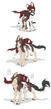 练习 by 小狼KillerWolf
