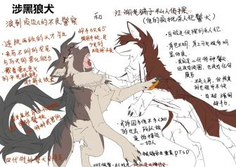 设定 by 小狼KillerWolf