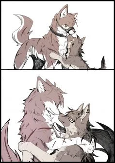 过去和后来 by 小狼KillerWolf