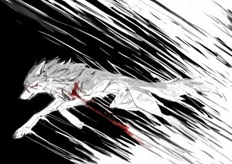 为了自由 by 小狼KillerWolf