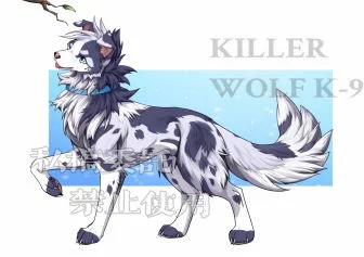 稿件展示 小边牧 by 小狼KillerWolf