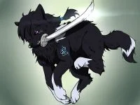 狼设：赤影 by 小狼KillerWolf