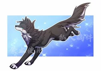 【稿件展示】灰黑色小狼 by 小狼KillerWolf