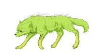 狼 by 小狼KillerWolf