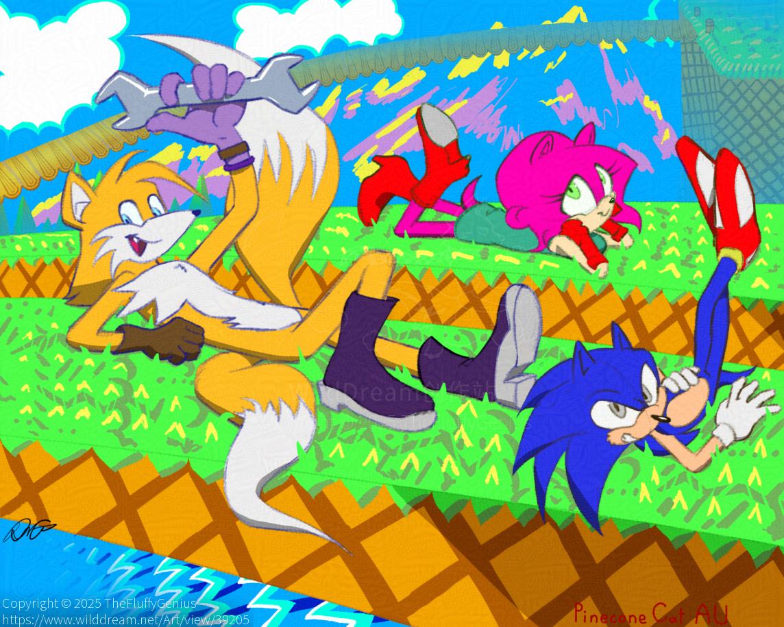 塔尔斯  艾咪 与 索尼克  by TheFluffyGenius, AU, SEGA, Sonic AU, 世嘉, 刺猬索尼克, 塔尔斯, 索尼克, 索尼克选择宇宙, 艾咪, 艾咪·罗斯, 选择宇宙, 麦尔斯·普劳尔
