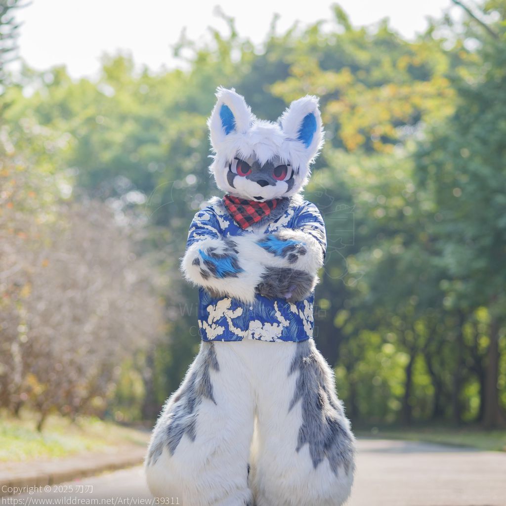 刃刃 by 刃刃, fursuit, 刃刃, 狼
