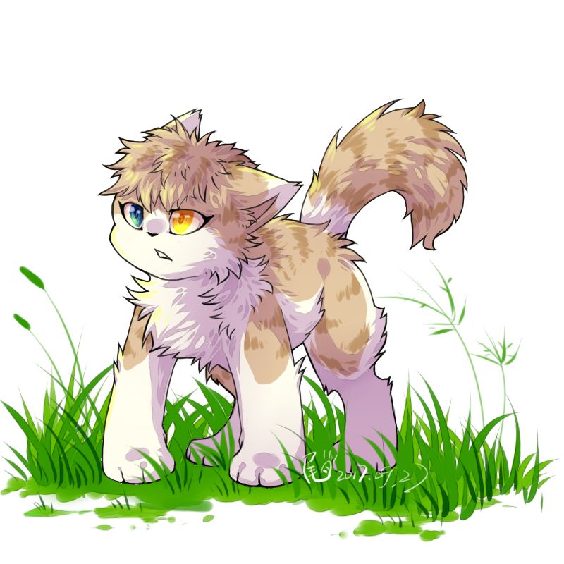 喵喵喵喵 by 鸦尾