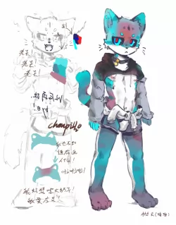 设定（暗面）