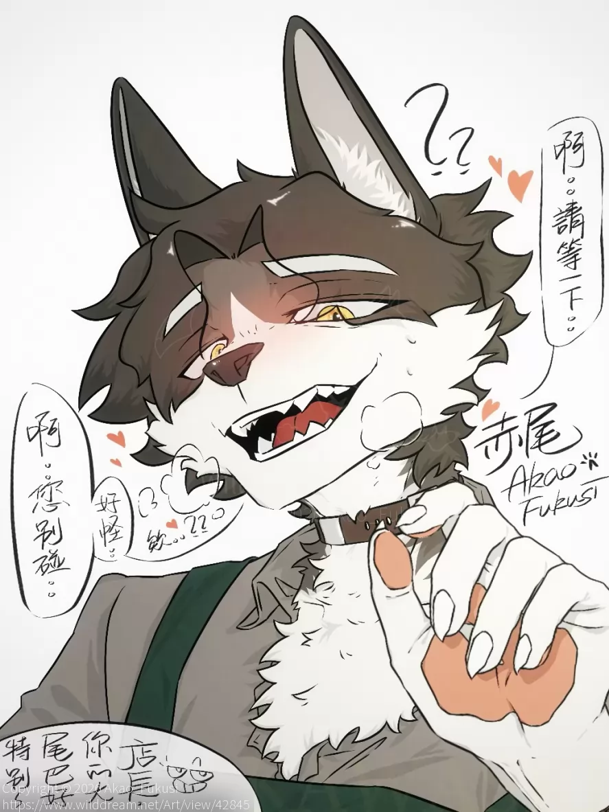 摸尾巴。 by Akao_Fukusi
