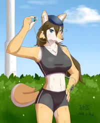 运动系