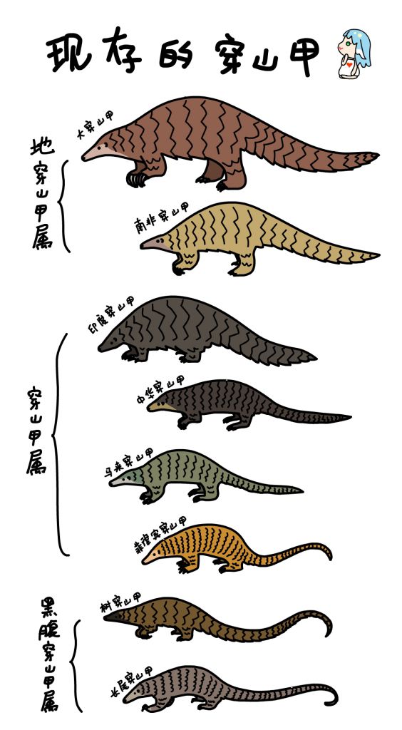 今天是穿山甲日 by 犬神x徹夜