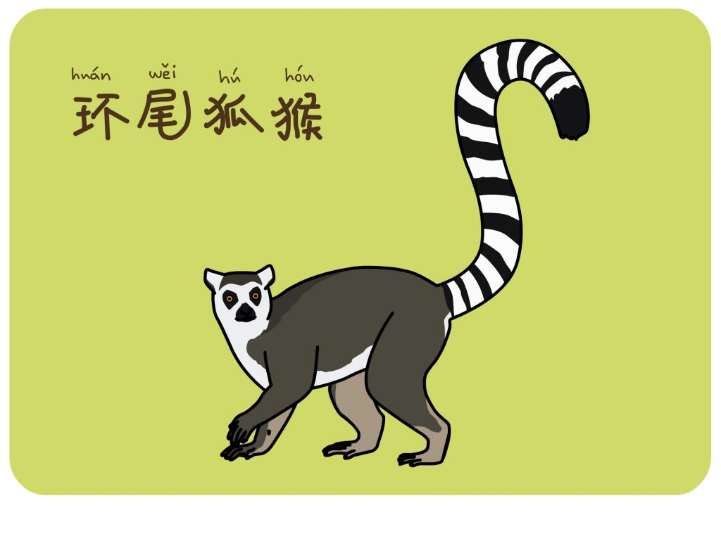 环尾狐猴动画片图片