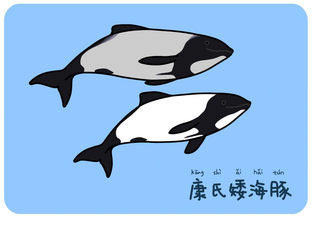 45 康氏矮海豚 by 犬神x徹夜
