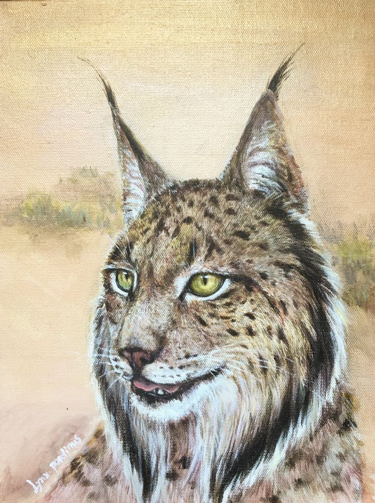 西班牙猞猁 by 犬神x徹夜