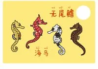 02 鱼尾6 by 犬神x徹夜