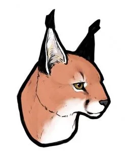 狞猫