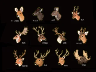 鹿头