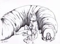 脑洞集——虫