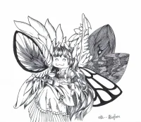 Charaxes lolita