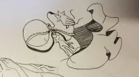 自设 by 啦buffoon