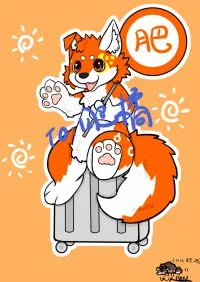 肥橘坐箱箱