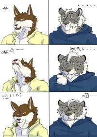 沙雕