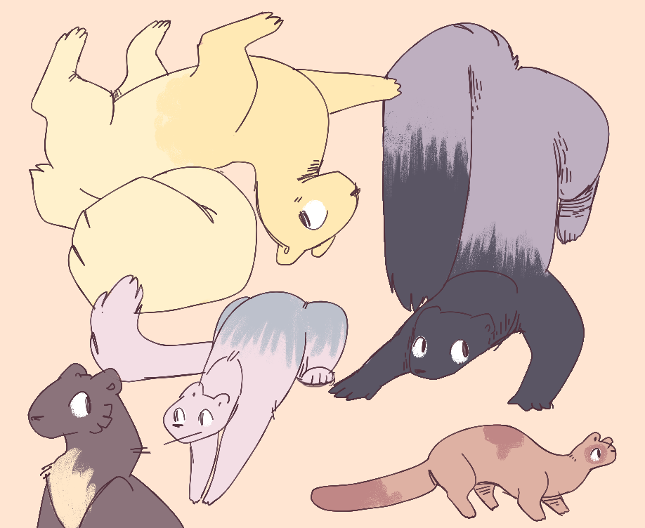 ferrets by brutalbunny