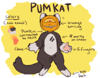 pumkat ref by brutalbunny