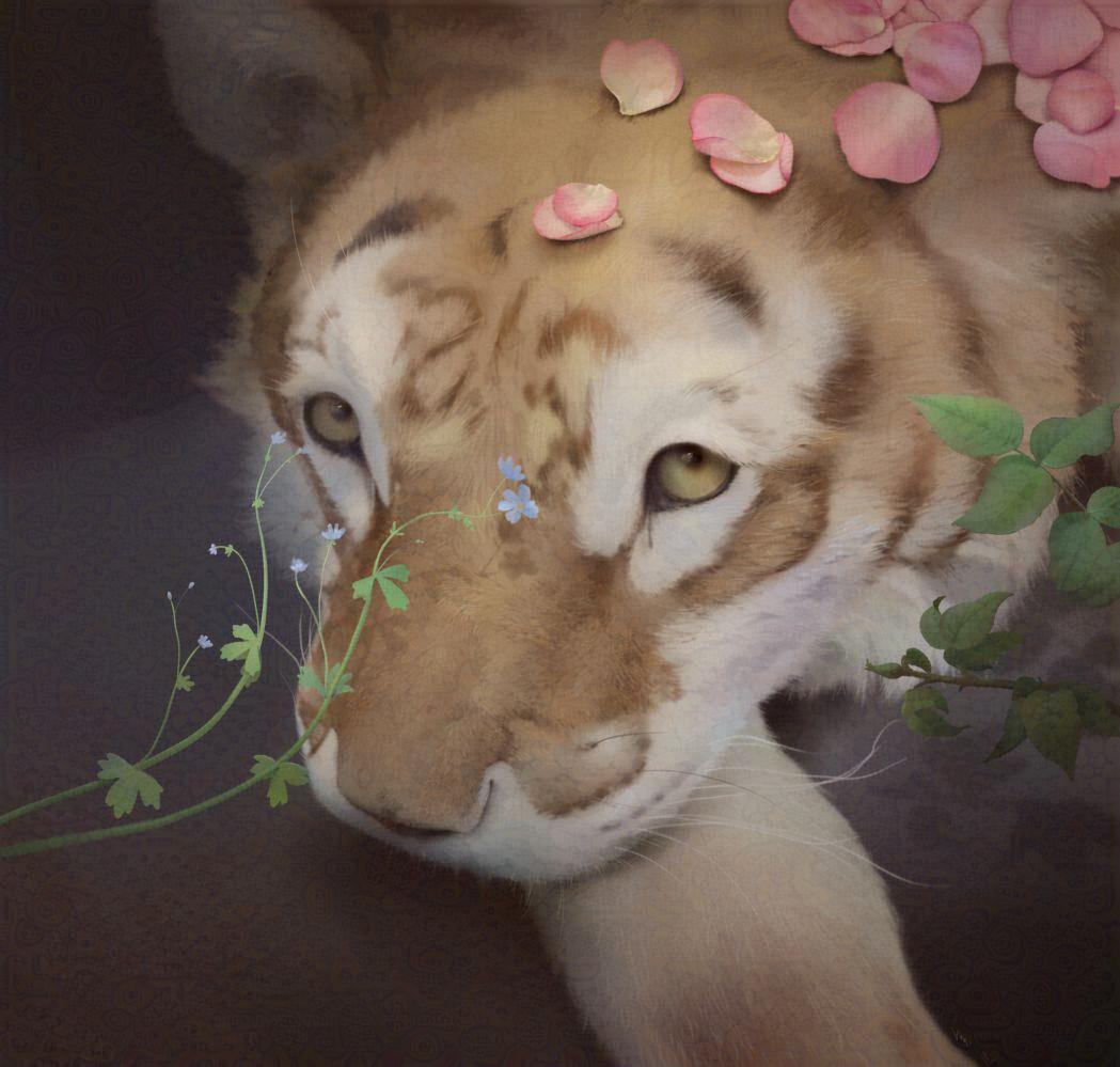 大橘猫 by 寅虎, furry , 毛茸茸