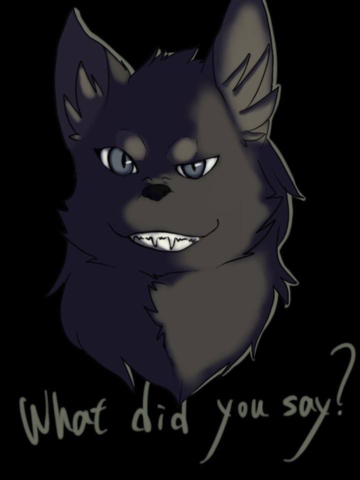 what did you say by hatchwolf
