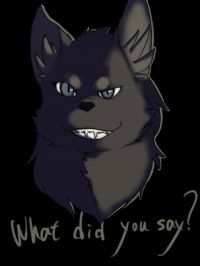 what did you say by hatchwolf