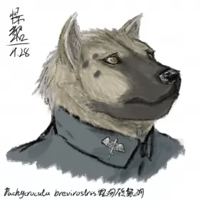 「自设绘画」硕鬣狗医官