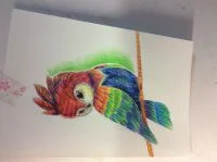 摸鱼