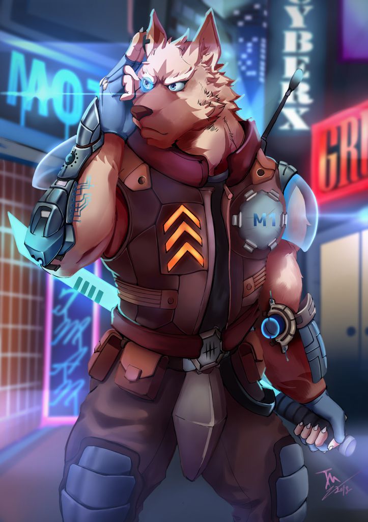 2017cyberpunk by Tigermax