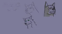 5.4png