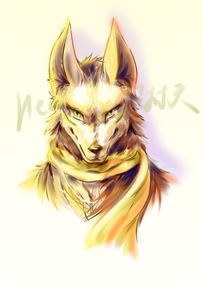 新头像w by heaven回忆录, 狼, 兽设, 犬科, 白色, 头像