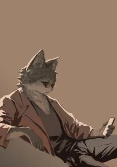 小设定