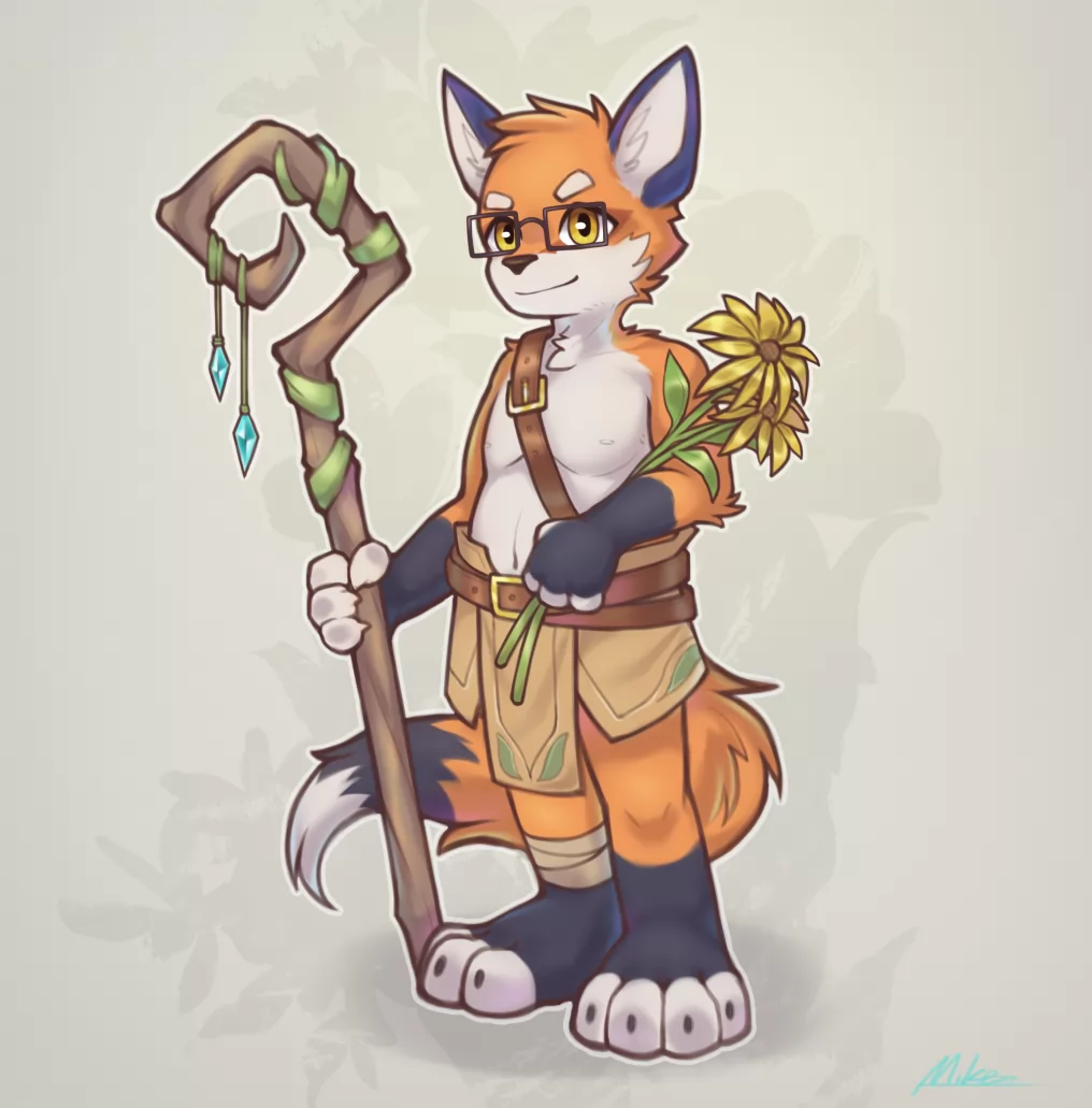 狐狸 by Mike, 狐狸