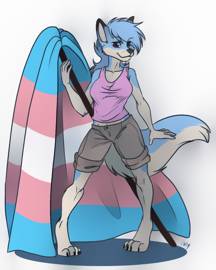 Trans flag (4) by vilani