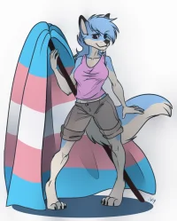 Trans flag (4) by vilani