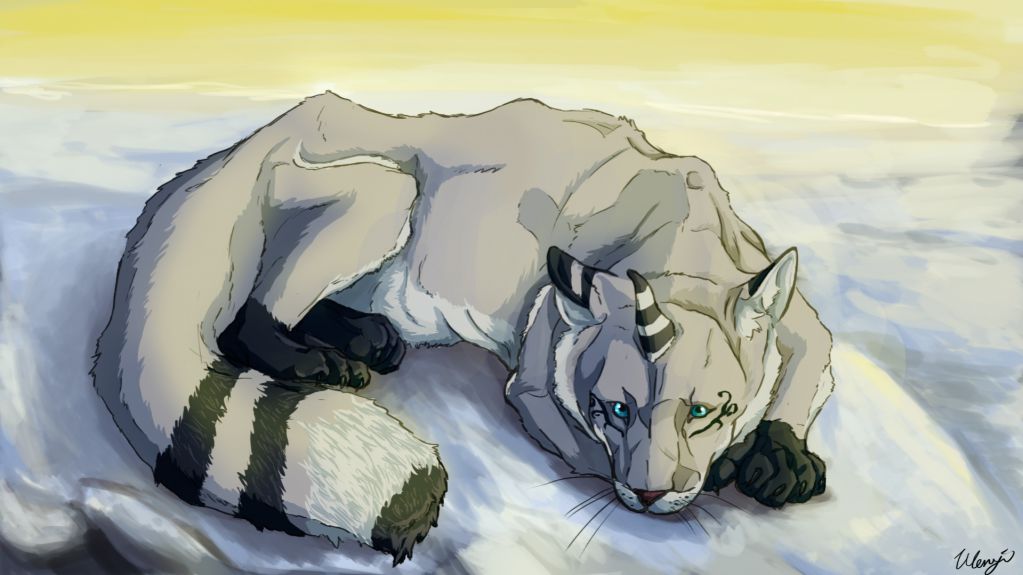 雪狐貓 by 兔子狼, creaturedesign, fox, tiger, 狐狸, 貓, 雪狐貓