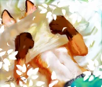 不想起床 by Dr.Fox