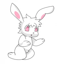 白兔子