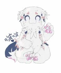 胖龙龙