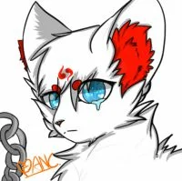 【无偿】忘了是谁了qwq