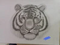 昏昏欲睡的大猫，蛮久之前画的